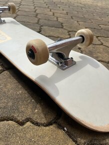 Skateboard Globe - 4