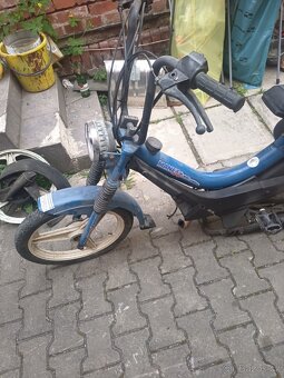 Manet Korado - 4