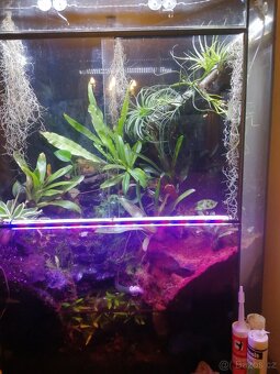 Terarium/paludarium - 4