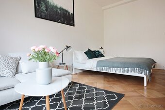Designový byt 1+kk situovaný v Praze 3 – Žižkov/Vinohrady, u - 4