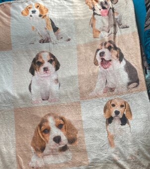 Deka beagle - 4