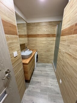 Pronájem nadstandartně vybaveného bytu 1+1 Jirkov - 4