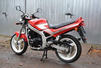 Suzuki GS 500E Slingshot - 4