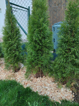 Mulčovací štěpka - 4