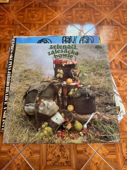 prodám gramofonové desky - 4