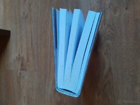 Názory tak řečeného Dalimila - 4