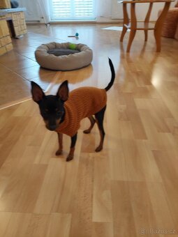 Hledáme princeznu - 4