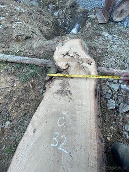 Dubová fošna, číslo 32 - 4