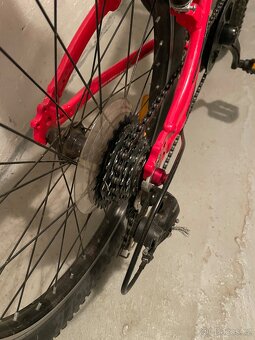 Trek 20 - 4