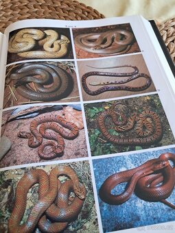 Odborná kniha pro chovatele hadů - 4