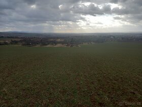 Pozemek na vinohrad, sad - Mařatice (Uherské Hradiště) - 4