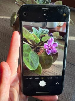 Apple iPhone Xr - 4