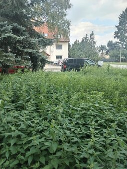 Pozemok v meste Šaštín-Stráže-SK - 4