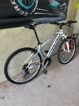 MTB Alpina - 4