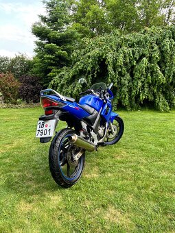 Honda CBR 125 2004 - 4