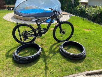 Santa Cruz,BRONSON CC M - 4