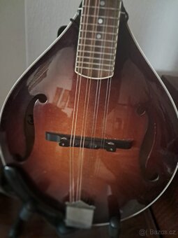 Mandolína Coall - 4