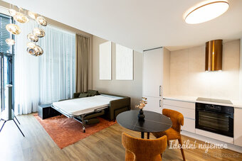 Pronájem bytu 1+kk, V háji, Holešovice, 28900 Kč/měs, 43 m2 - 4
