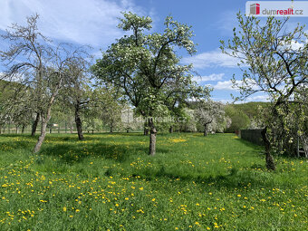 Prodej RD se zemědělským zázemím (chlévy, stodola) velká zah - 4