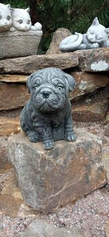 Zahradní dekorace- Anglický buldoček - 4