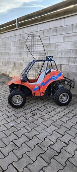Racer Buggy Havel - 4