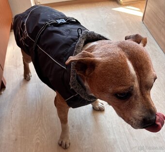 Hurtta Outdoors Winter jacket - 4