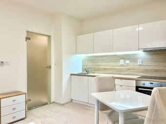 Pronájem bytu 1+kk • 21 m² bez realitky - 4