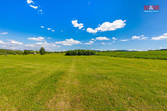 Prodej louky, 2373 m², Blížejov - 4