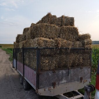 Malé hranaté balíky pšeničné slámy sklizeň 2025 - 4