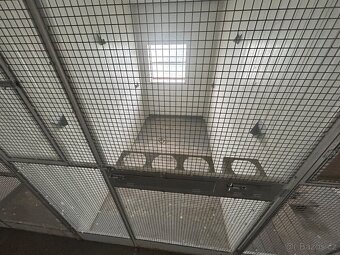 Voliéry pro exotické ptactvo - velké papoušky - 4