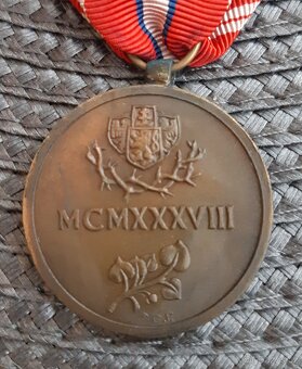 PAMĚTNÍ ODZNAK PRO DOBROVOLCE Z LET 1918 - 1919 - 4