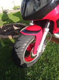 Kentoya Sharky 50ccm - 4
