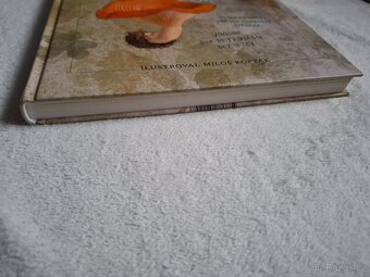 Houbeles pictus - Petr Maděra - 4