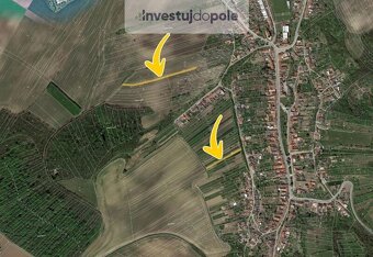 Prodej pole v k.ú. Nikolčice - 4