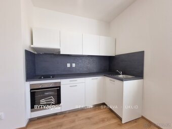 Pronájem nově zrekonstruovaného bytu 1+kk, 31,4 m2, Plzeň-Ji - 4