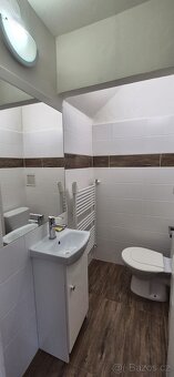 Pronájem bytu 1+1 Horka nad Moravou - 4