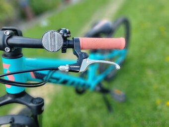 Scott Contessa 20 - 4