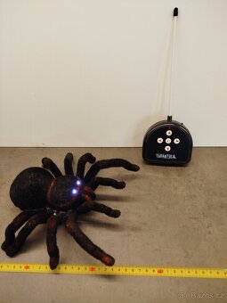 PRODÁM TARANTULI NA DO - 4