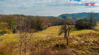 Prodej louky, 11289 m², Dubá - Heřmánky - 4