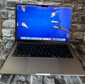 MacBook Pro 14" (2021) – Apple M1 Pro - 4