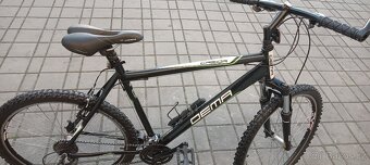 Dema Casida 26 - 4