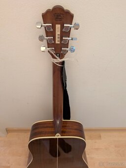 Kytara Washburn WD10S - 4
