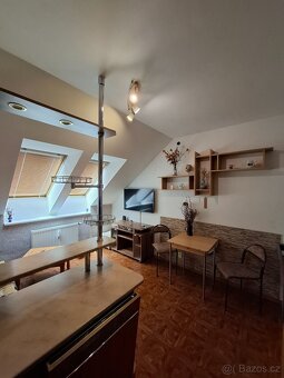 2+1 Podkrovní byt 35m² - 4