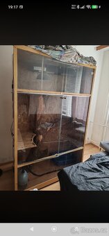 Terarium - 4