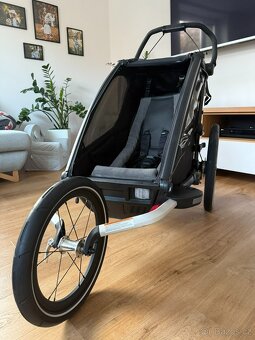 Thule Chairot Sport 1 - 4