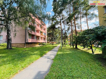 Pronájem bytu 2+1 Zborovská 55m2 - 4