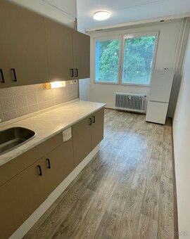 Pronájem bytu 1+1 s balkonem, Žatec - 4
