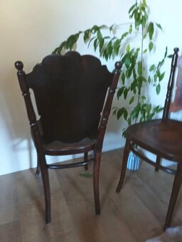 Starožitná židle THONET motiv čert - 4