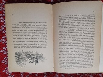 Bily tesak, Jack London - 4