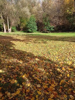 Stavební pozemek Orlová - 4